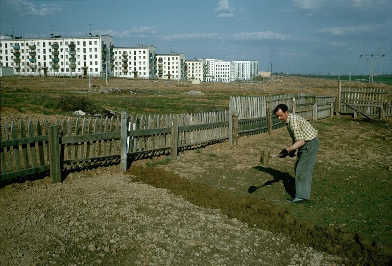 Огород на окраине Москвы дин конгер, фото, фотограф