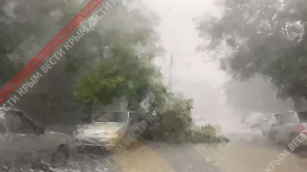 Ураган в Симферополе повалил деревья на автомобили