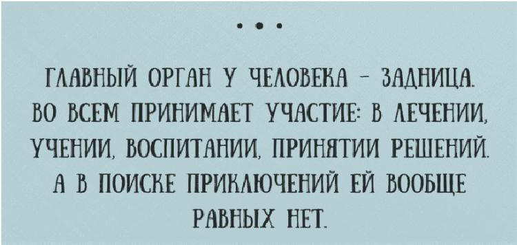 12 невероятно смешных открыток, тесно связанных с жизнью 12 невероятно смешных открыток, тесно связанных с жизнью