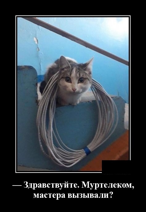 Демотиваторы на 29 марта 2019