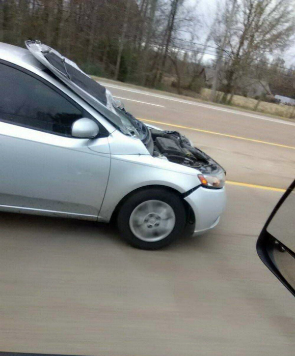 Народ зажигает) веселье