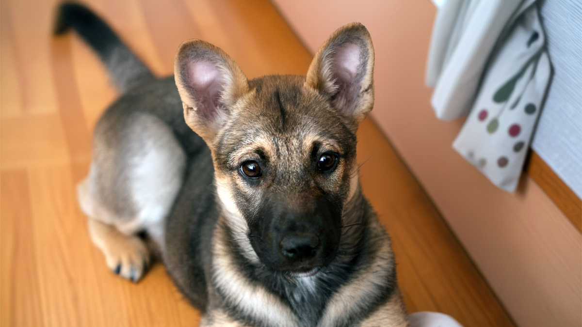 Потери и находки