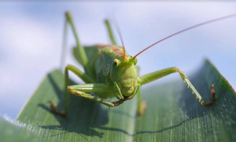 УКРАИНА: НОВОСТИ 26.05.2022 утро УКРАИНА: НОВОСТИ 26.05.2022 утро геополитика,россия,украина