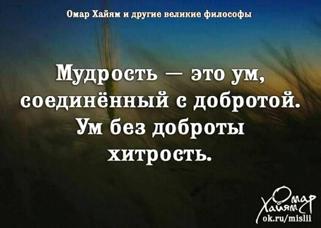 Выражение ума. Афоризмы про хитрость. Мудрость. Мудрость и хитрость. Мудрость без доброты это хитрость.