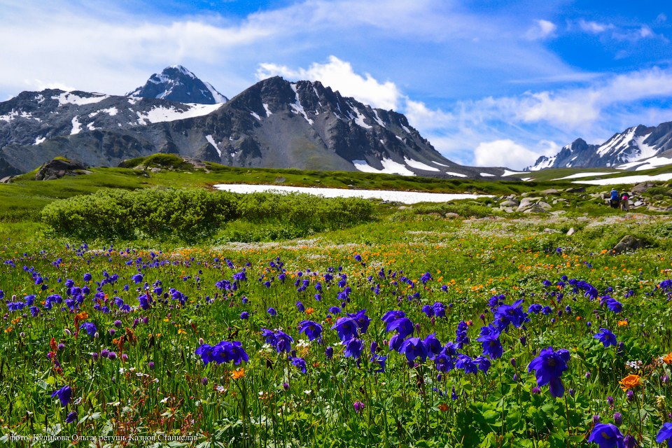 Пейзажи горного Алтая Индия,пейзажи,Путешествия,фото