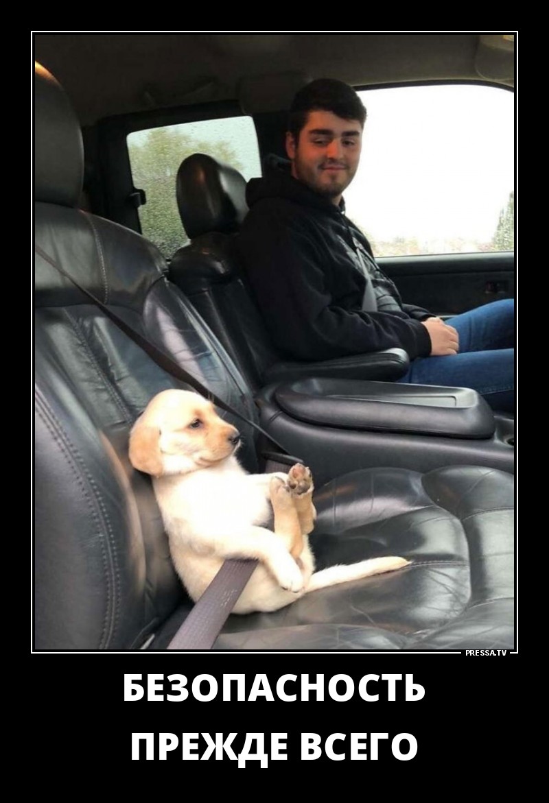 Смешные позитивные демотиваторы обо всем на свете для хорошего настроения