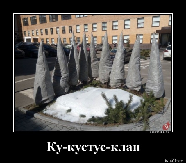 Прикольные демотиваторы для всех: «Пятница близко!» Прикольные демотиваторы для всех: «Пятница близко!»