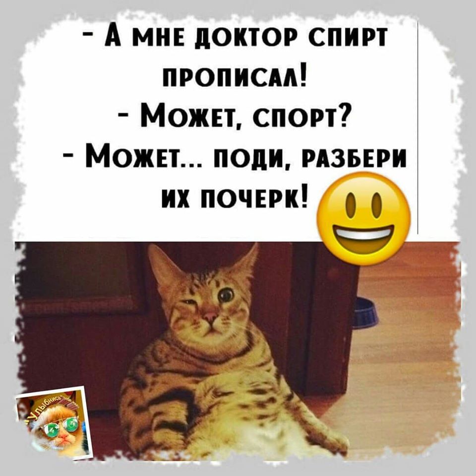 — Иду я по лесу, смотрю — муравьи лесника тащат... мужчин, такой, Проблема, трудом, накладывал, штаны, бегал, голышом, попадя, терракты, выговаривал, только, слова…, вчера…, мальчишник…Если, женщины, физически, сильнее, вчера, женится