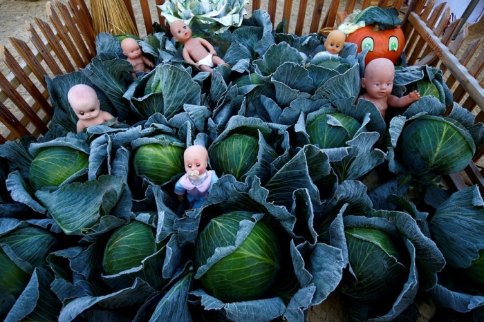 Фотоподборка 