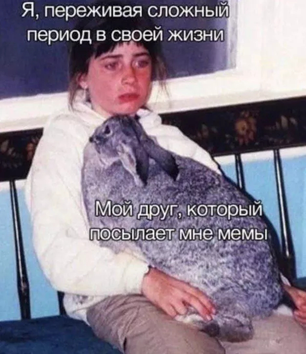 Лучшие шутки и мемы из Сети