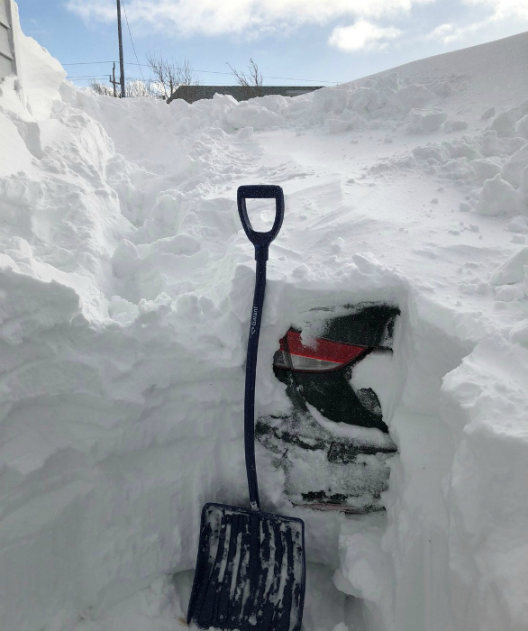 15 фотографий из Канады, в которой выпало более 3-х метров снега зима,Канада,погода,снег,юмор