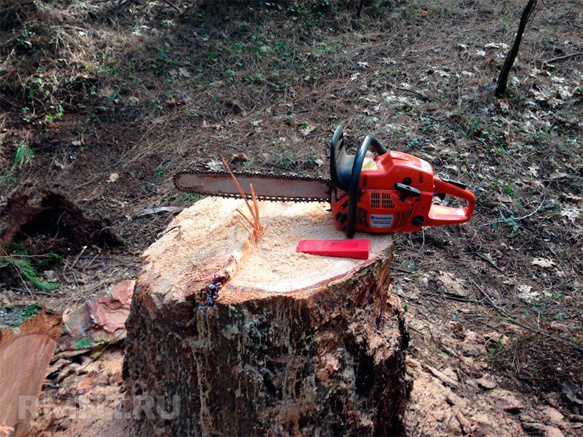 как распилить упавшее дерево