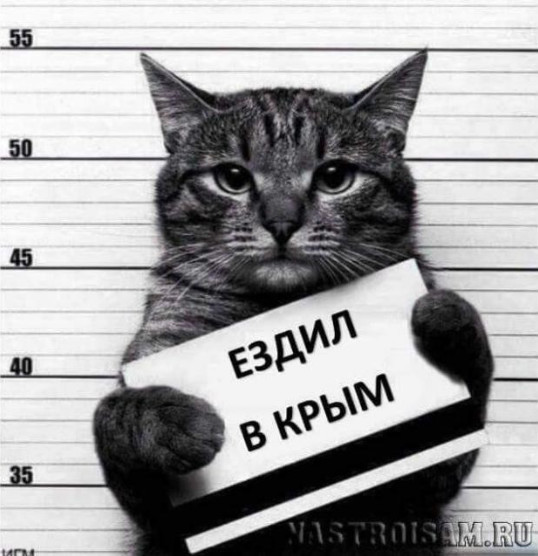 Русская водка - она как русская матрёшка. Откроешь одну, а там и вторая, и третья... анекдоты,веселые картинки,приколы,эту страну не победить,юмор