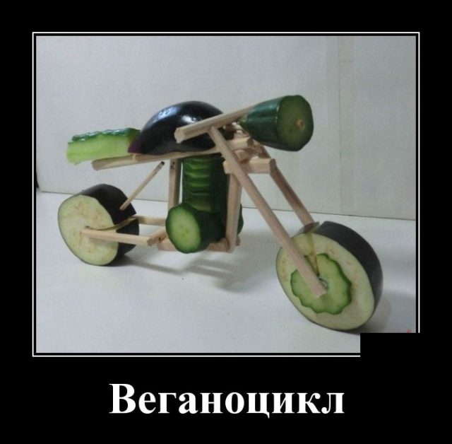 Прикольные картинки в черной рамке 