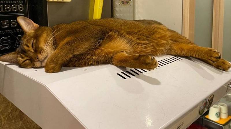 Жители Саранска задолжали за тепло и горячую воду 900 млн рублей