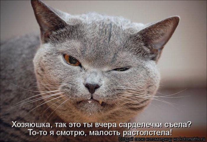 Мысли вслух :)