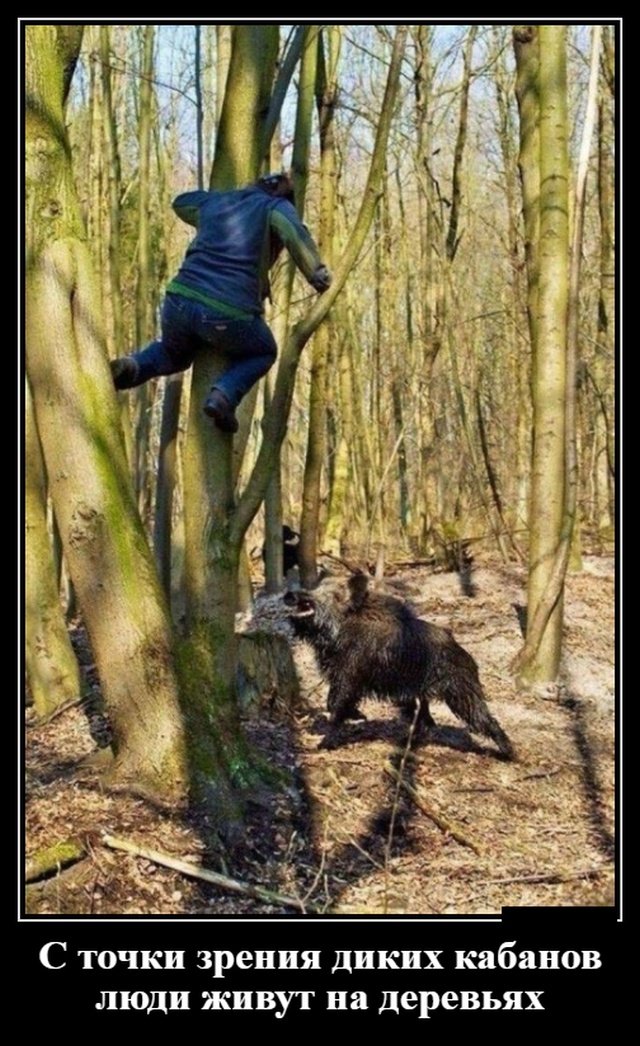 Смешные позитивные демотиваторы обо всем на свете для хорошего настроения