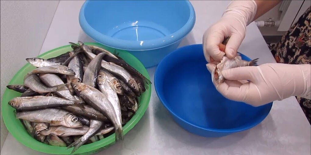 Вкусный и простой способ замариновать рыбу — вы не сможете оторваться готовим дома,кулинария