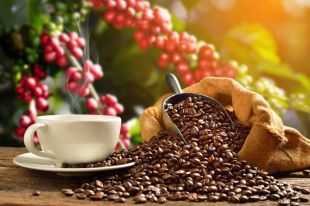 Правда ли, что кофе увеличивает продолжительность жизни?