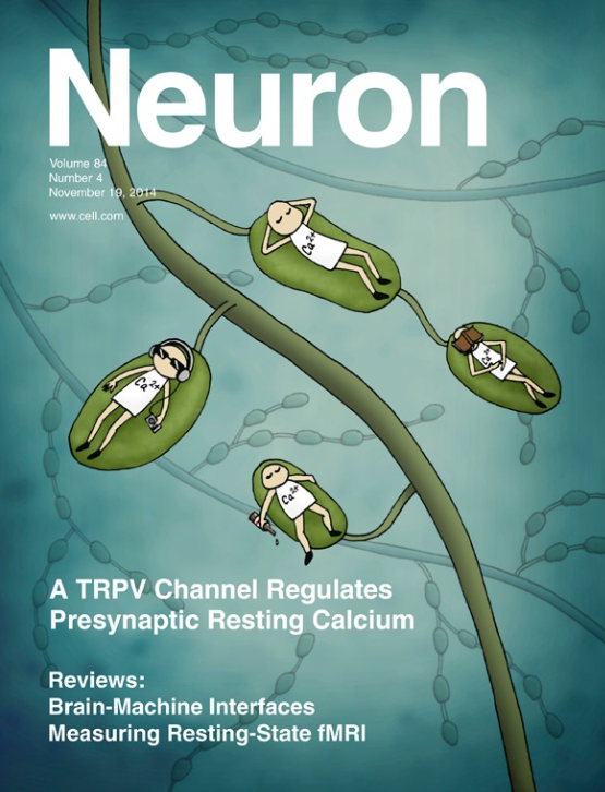 Журнал Neuron. Фото обложки из открытых источников