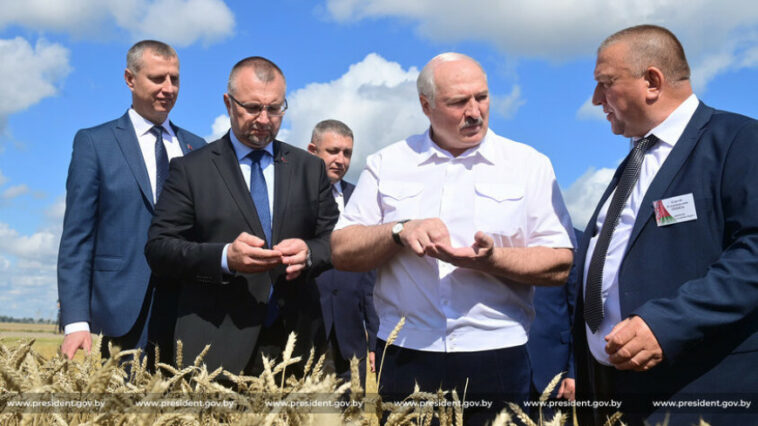 Все должно быть свое: Лукашенко дал поручение аграриям