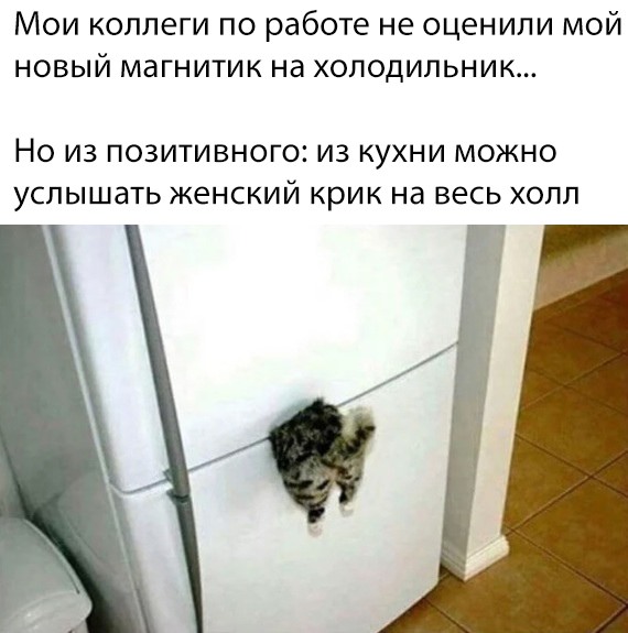 Немного прикольных картинок