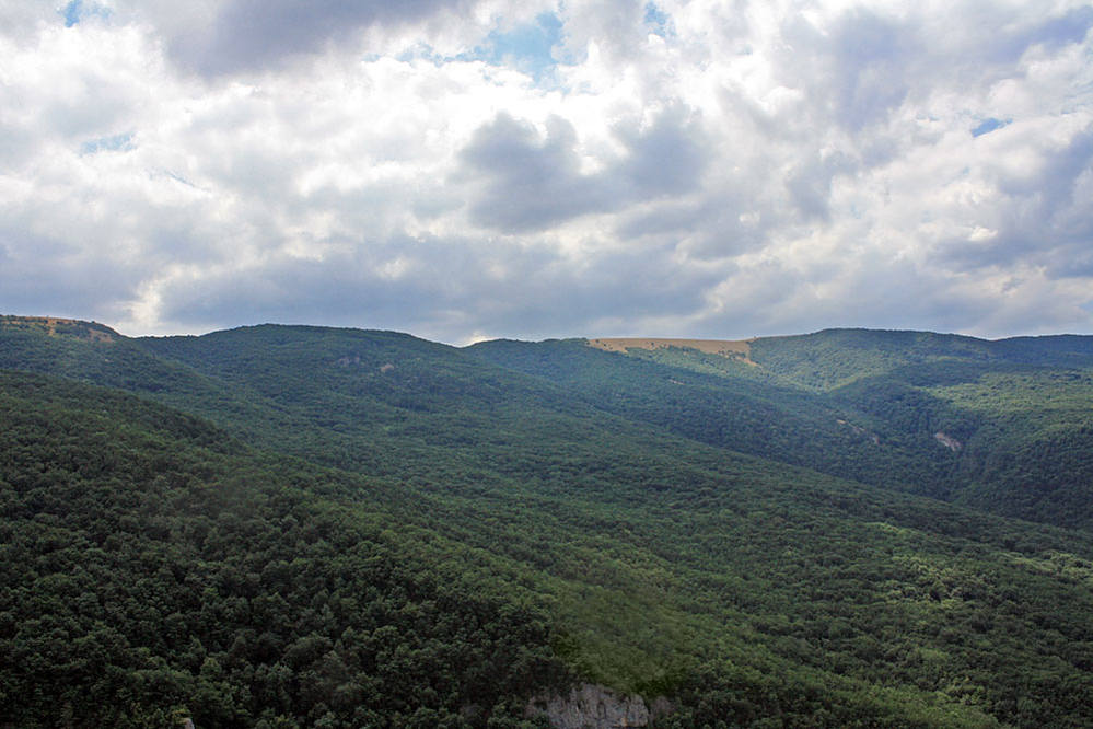 Бойка Бойка путешествия