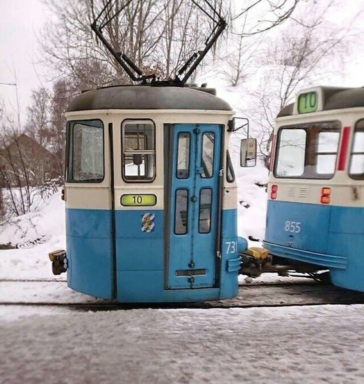 20+ человек, которые на любые фотографии смотрят сквозь призму сарказма Фотография