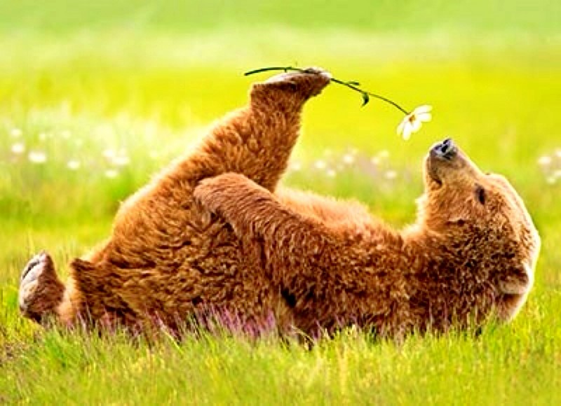 Как много я похоронила друзей, которые вели исключительно здоровый образ жизни