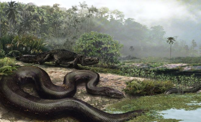 Титанбоа: протозмея вырастала до 15 метров и охотилась на динозавров и предков слонов Культура