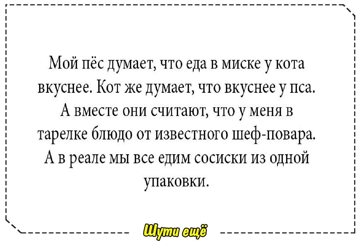 15 невыдуманных коротких и добрых историй из интернета для хорошего настроения!