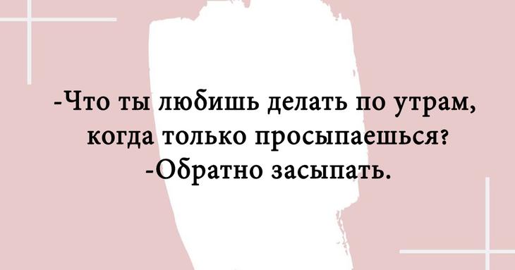 Двадцать отборных шуток, которые непременно поднимут настроение 