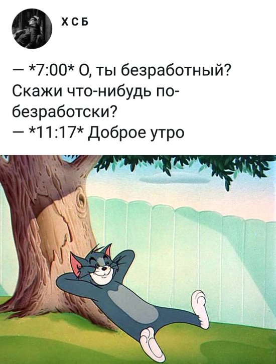 Фотоподборка понедельника  