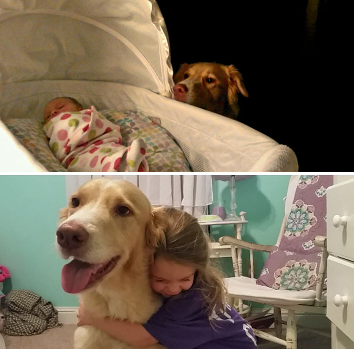 До и после: 30 фотографий собак, которые выросли вместе со своими владельцами