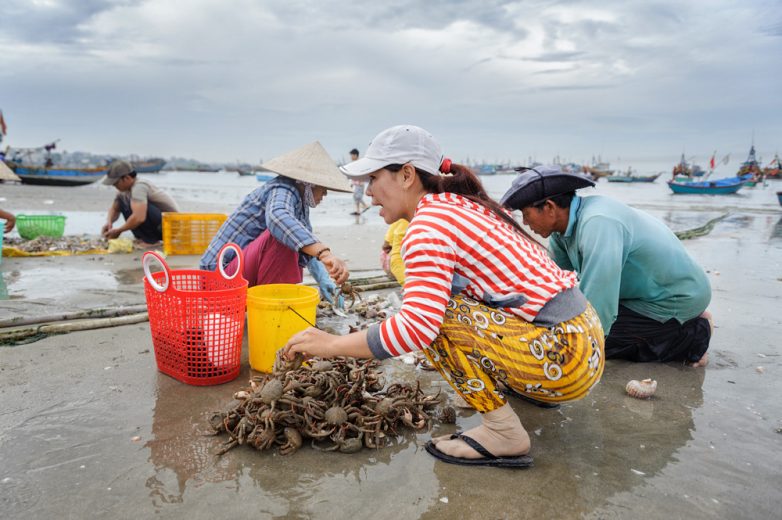 Вьетнамский рыбный рынок только, можно, больше, весьма, морских, очень, МуйНе, будет, лодки, рынок, вообще, рыбаки, часов, пляжа, товар, креветка, конечно, креветок, «Тхунг, можете