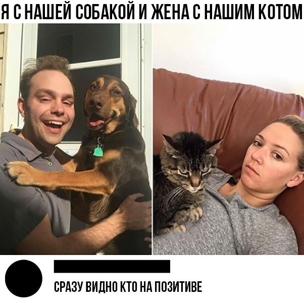 Фотоподборка пятницы юмор