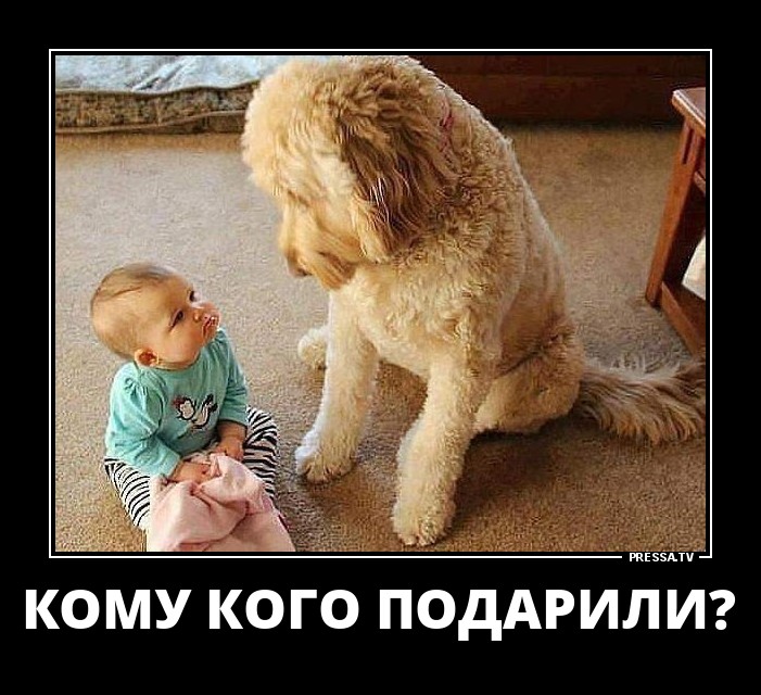 Забавные демотиваторы из нашей жизни Забавные демотиваторы из нашей жизни