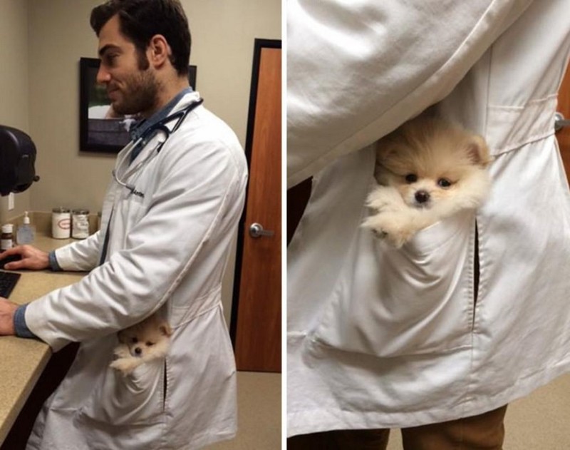 Немного прикольных картинок картинки, подборка картнок, прикол, юмор