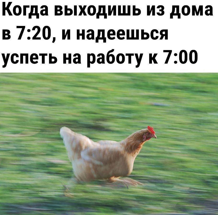 Лучшие приколы дня, картинки с надписями, смех до слез Лучшие приколы дня, картинки с надписями, смех до слез