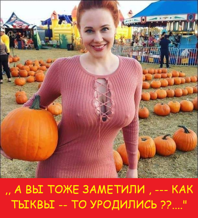Никогда столько дорог в Крыму не строилось… комнату, Мужик, мумия, берутся, откуда, Знаешь, никогда, дыхание, такое, куклу, абсолютно, тупик, мужчины, шутками, лучше, всего, отвечать, вопросами, ставящими, Например