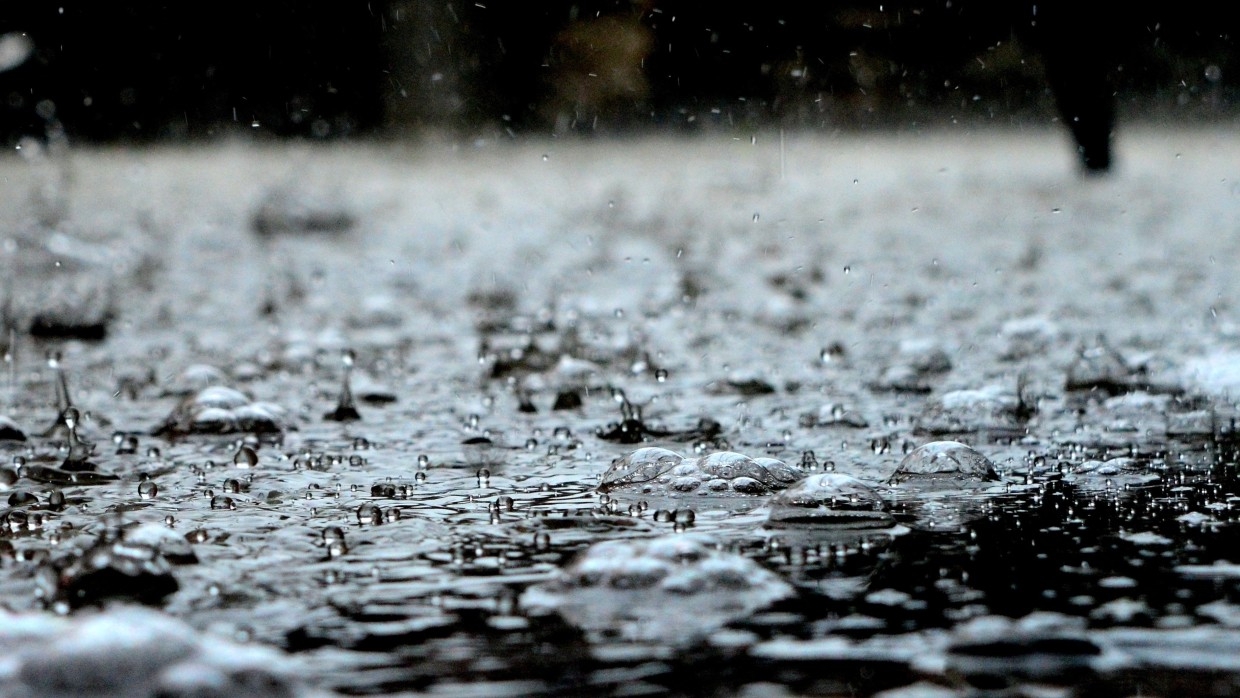 Гидрометцентр Краснодарского края назвал некритичными дожди в Сочи Общество