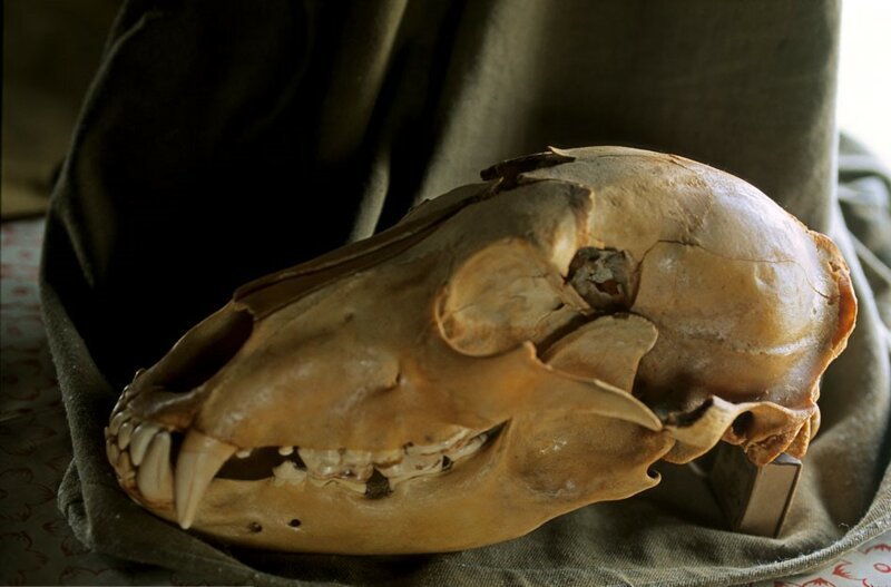 Отшельник Хантайского озера Отшельник Хантайского озера история,люди,отшельник,путешествие