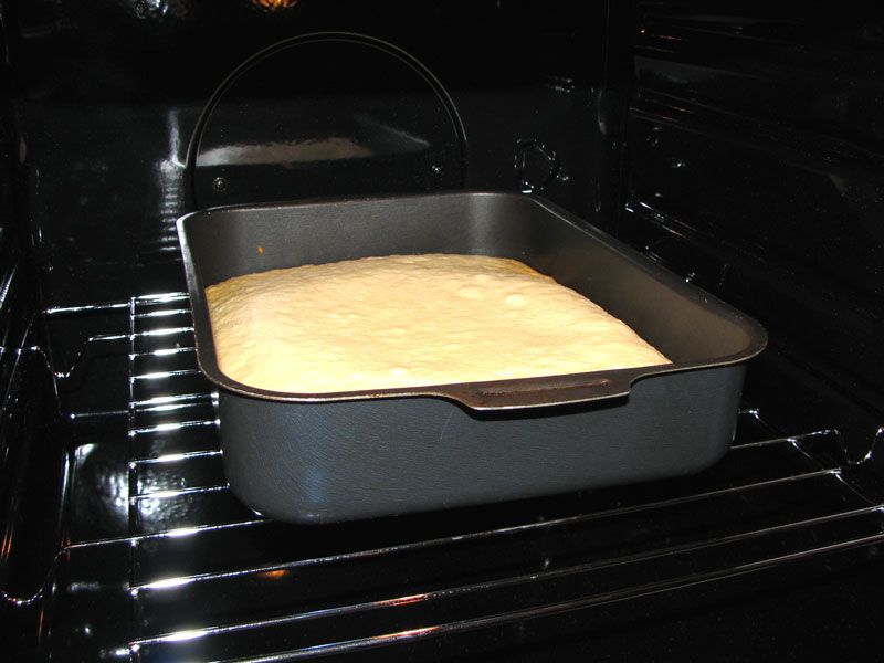 Тесто после духовки. Бисквит в духовке. Противни для выпечки бисквита. Форма для выпечки в духовке пирога. Протвинь с бисквитным тестом.