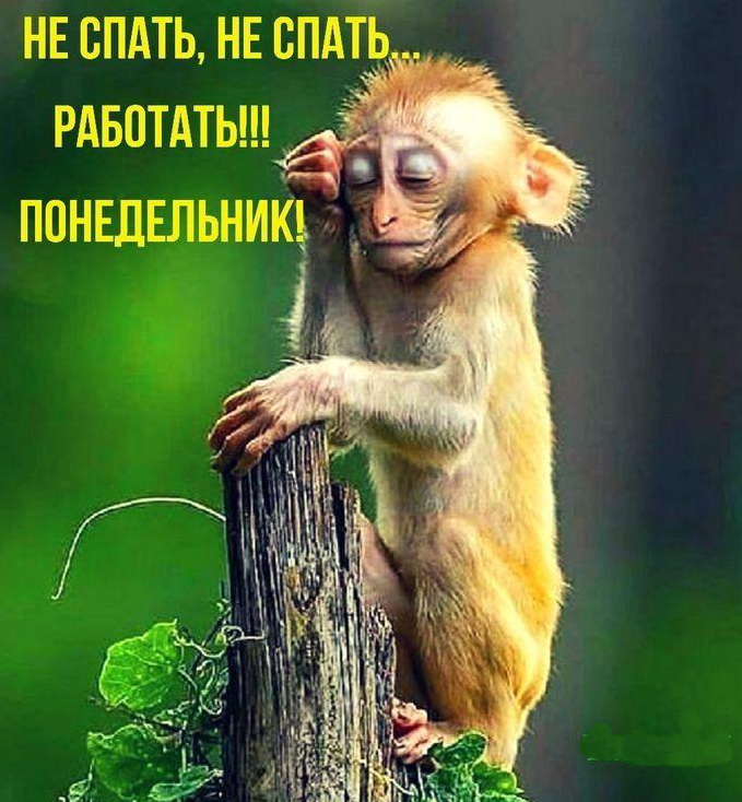 Зажигательный юмор на ярком фоне 