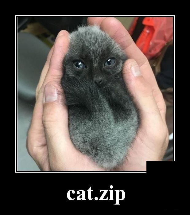 Самые забавные демотиваторы Самые забавные демотиваторы