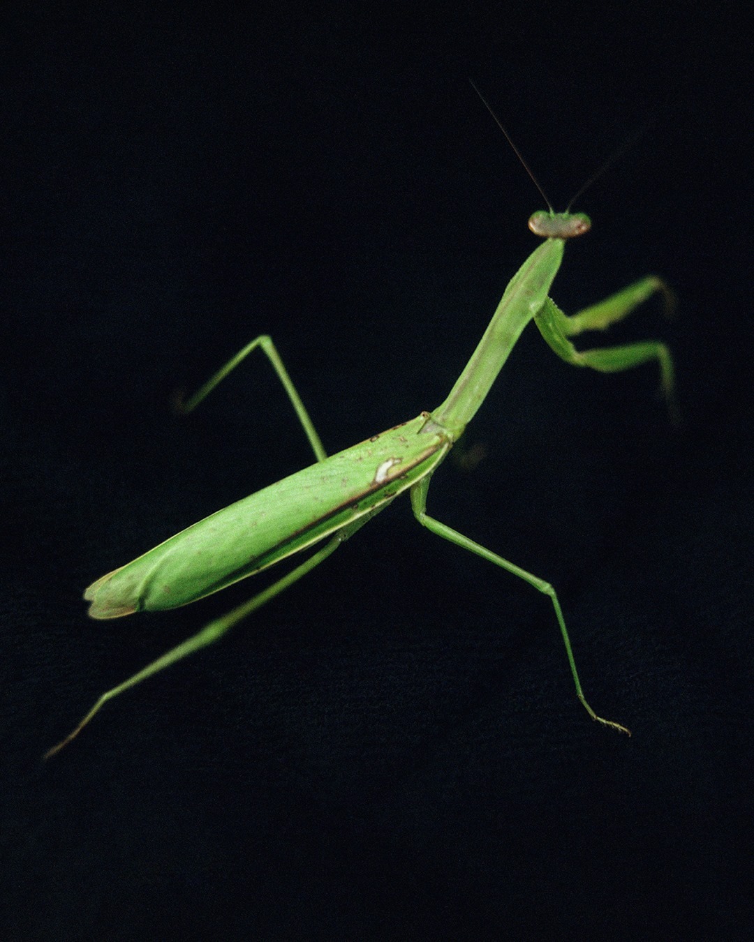 Фото из инстаграм-аккаунта 