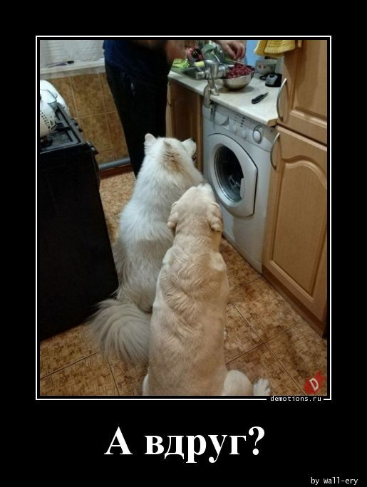 Демотиваторов пост: «Отобью „Теслу“» Демотиваторов пост: «Отобью „Теслу“»