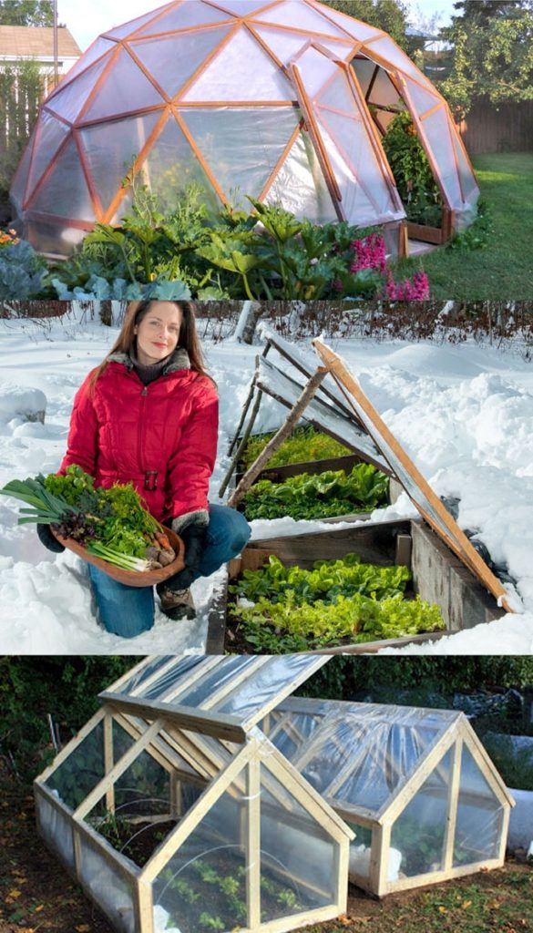Необычные идеи теплиц на любой сезон, и даже зимние варианты. Вдохновляйтесь на будущий сезон дача,идеи для дачи,сад и огород