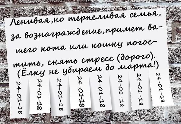 Сначала было слово. Но судя по тому, как события стали развиваться дальше, слово было матерным Сначала было слово. Но судя по тому, как события стали развиваться дальше, слово было матерным когда, пытается, самая, конечно, думаю, очереди, стало, баксов, поставить, мужик, видит, детей, очень, человек, общем, стариков, сделать, потом, одном, место