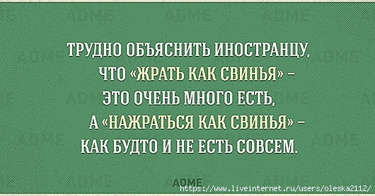 Особенности русского языка в весёлых картинках :-))) истории из жизни